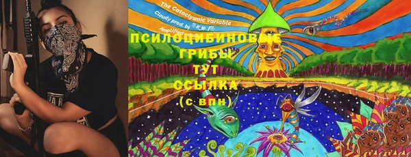 кристаллы Абаза