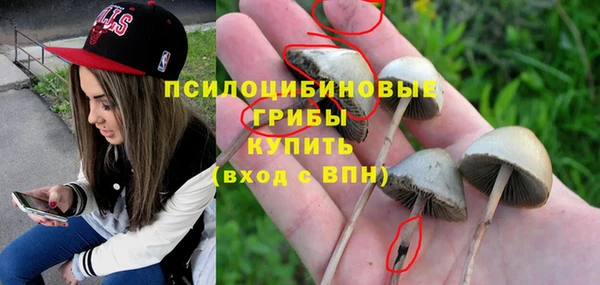кристаллы Абаза